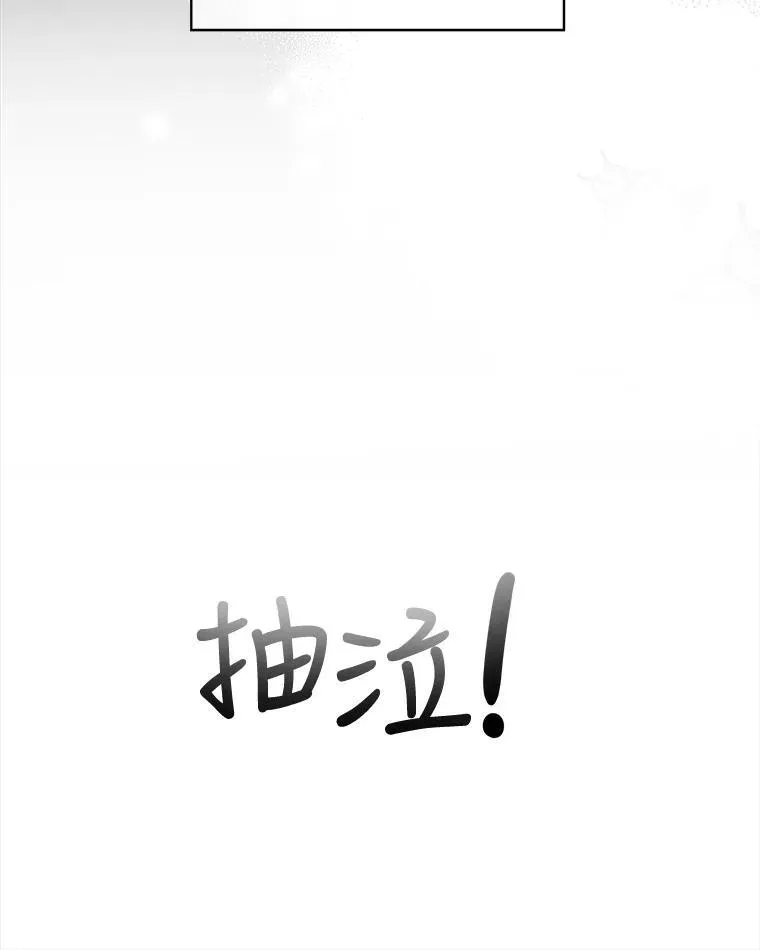 17.塞里亚到来8