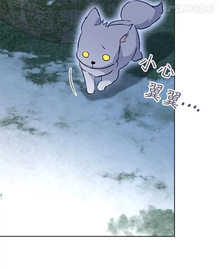 51.抓银狐105