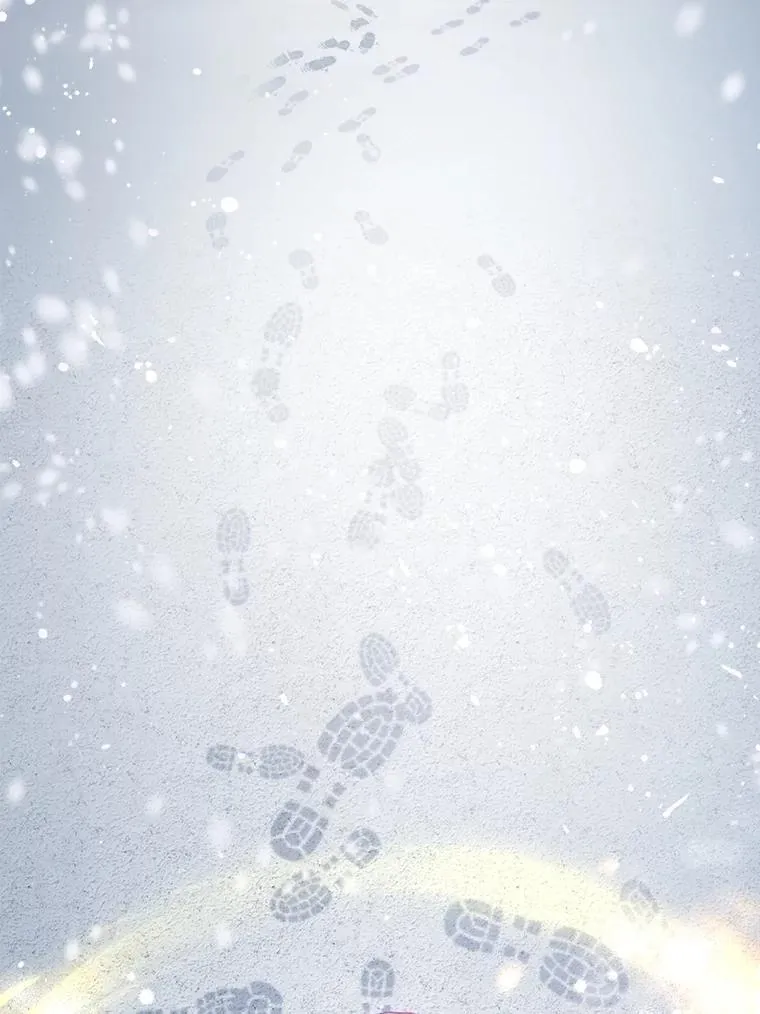 51.抓银狐22