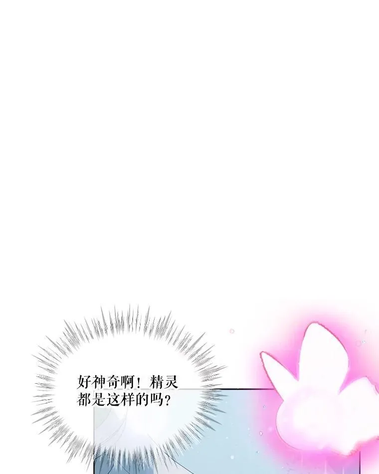 25.精灵66