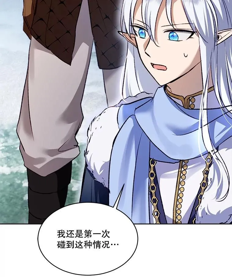 51.抓银狐95