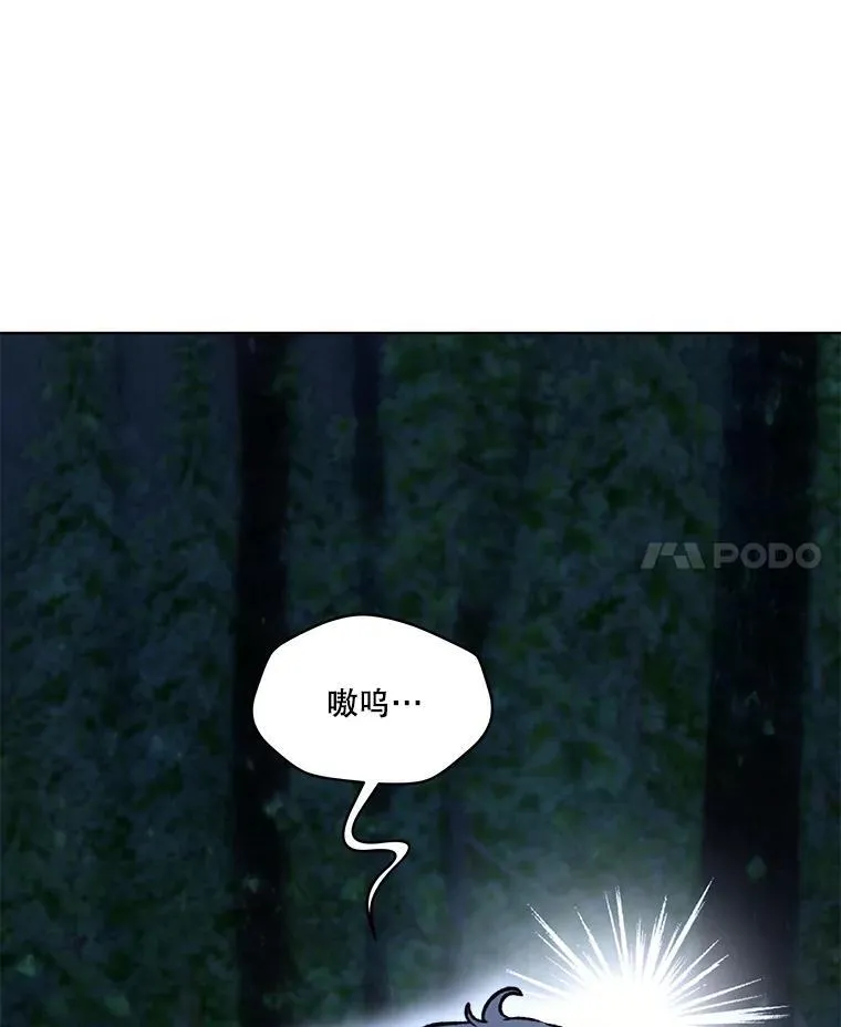 51.抓银狐101