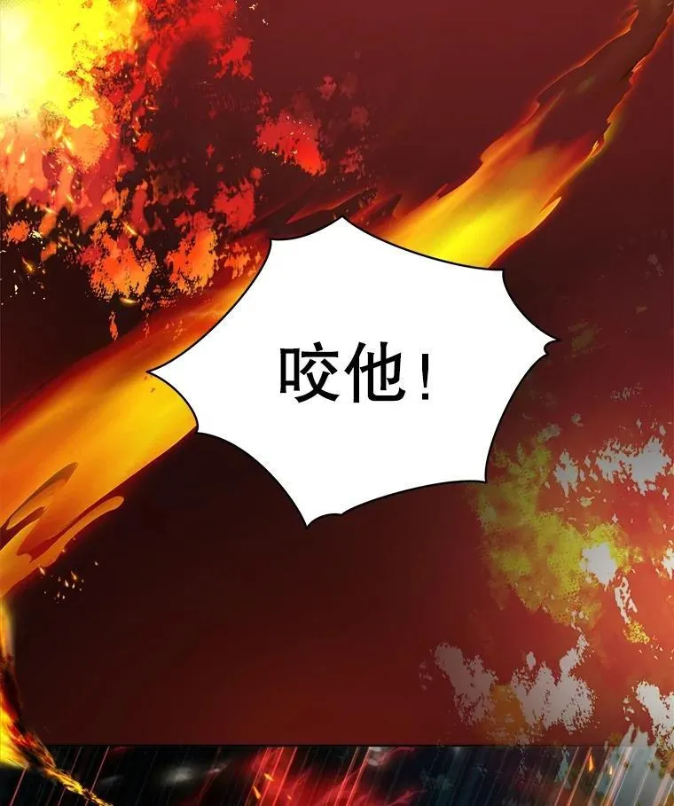 33.巴希拉57