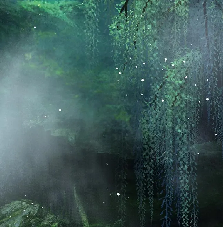 33.巴希拉9
