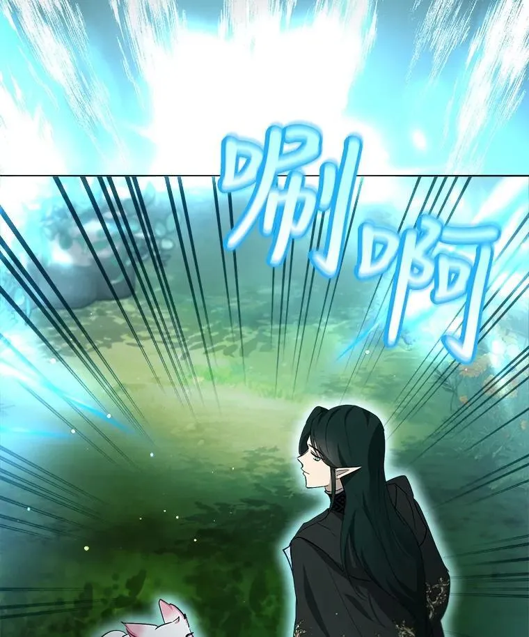 33.巴希拉50