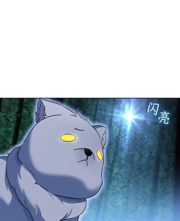 51.抓银狐106