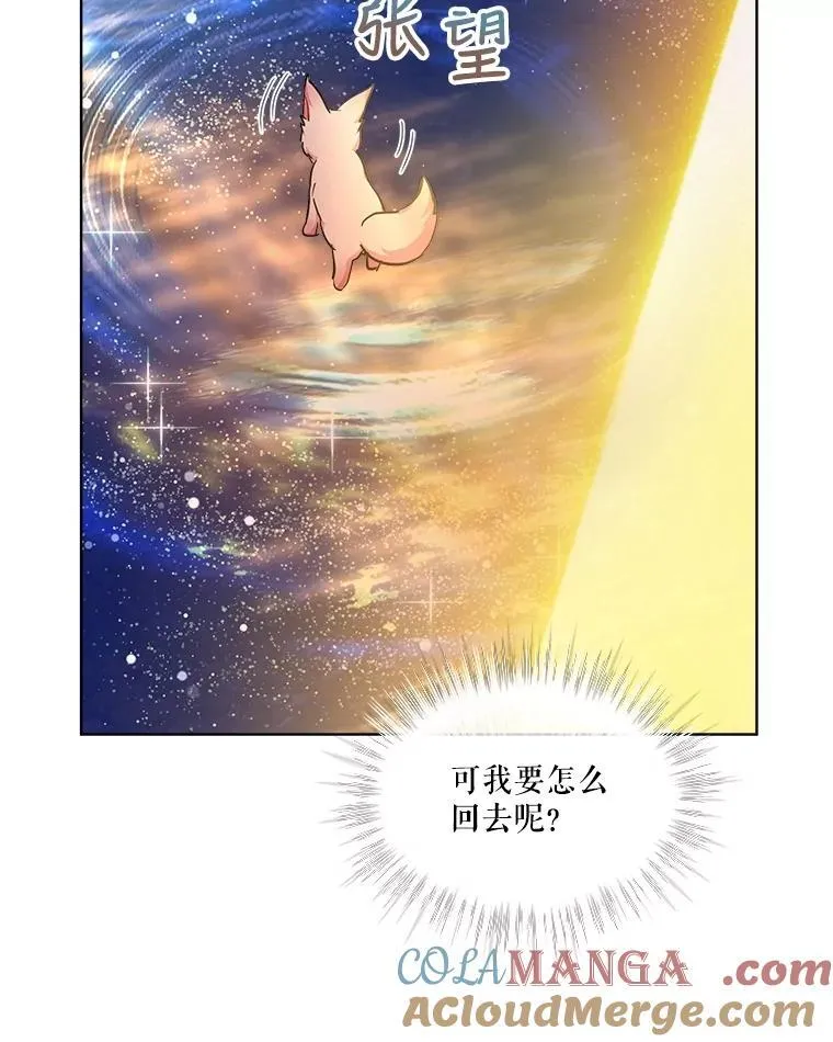 31.诞生仪式36