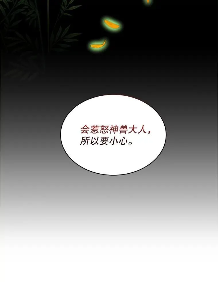33.巴希拉31