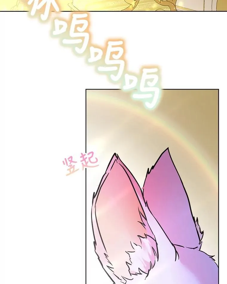 3.魔法师65