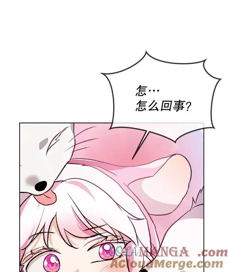 51.抓银狐92