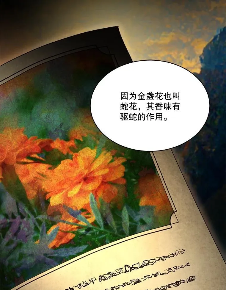 33.巴希拉27