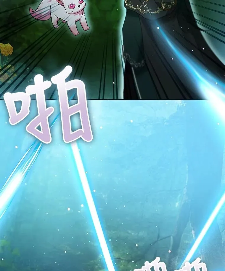 33.巴希拉51