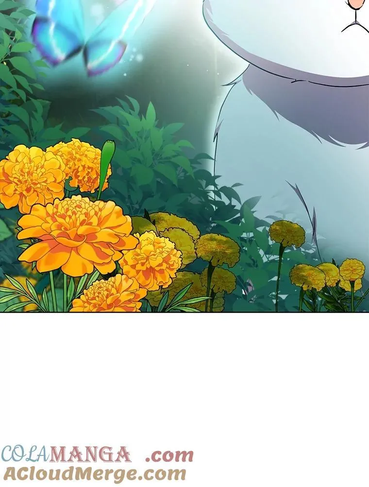 33.巴希拉16