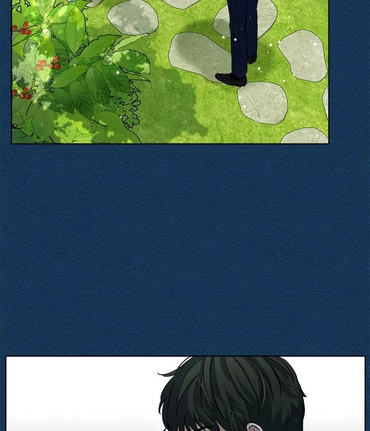 6.佩伊兰55