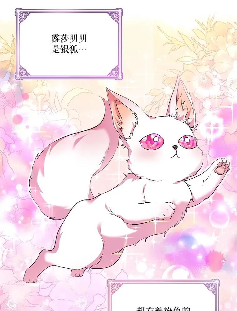 18.亮相20