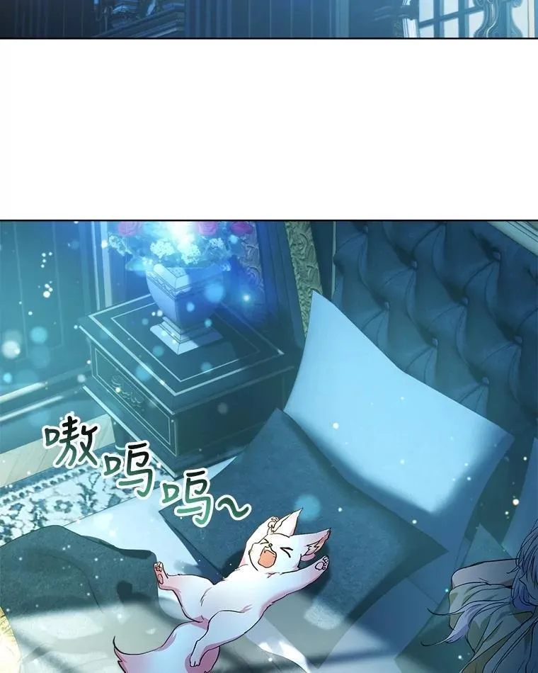 18.亮相29