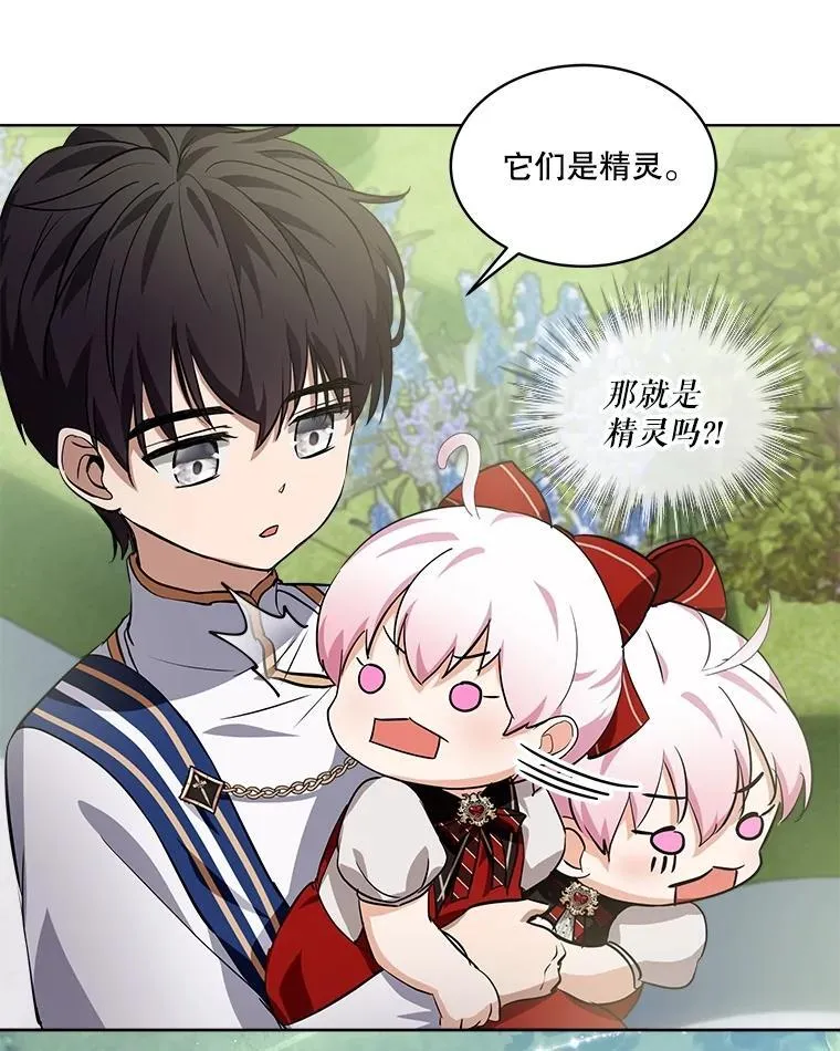 25.精灵43
