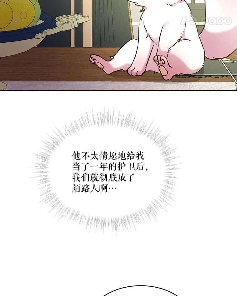 6.佩伊兰88