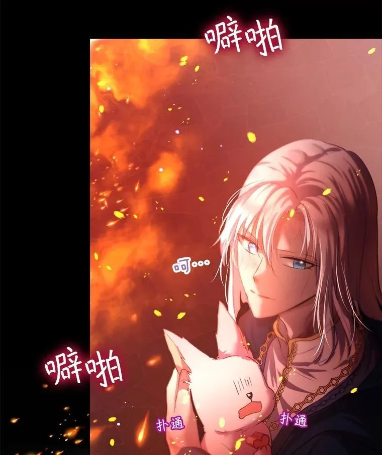 43.两条尾巴95