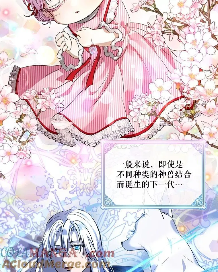 18.亮相15