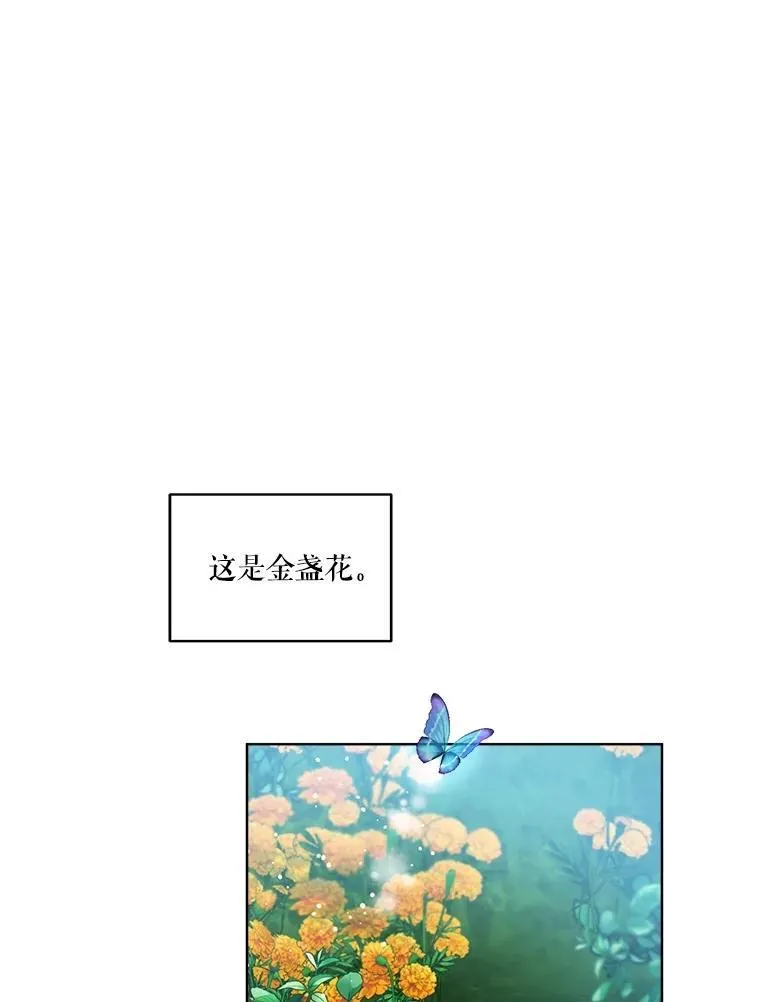 33.巴希拉17