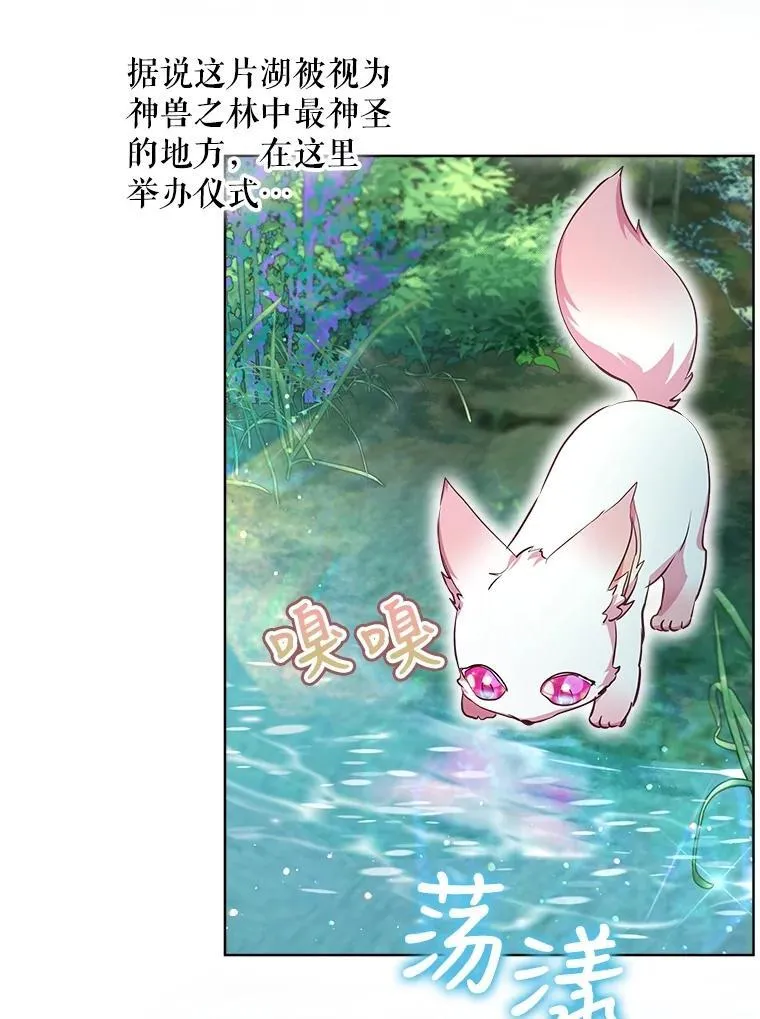 30.控制道具55