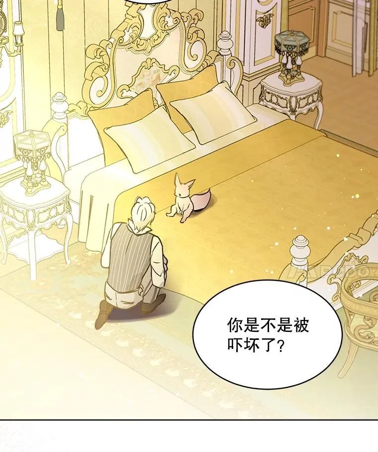 3.魔法师52