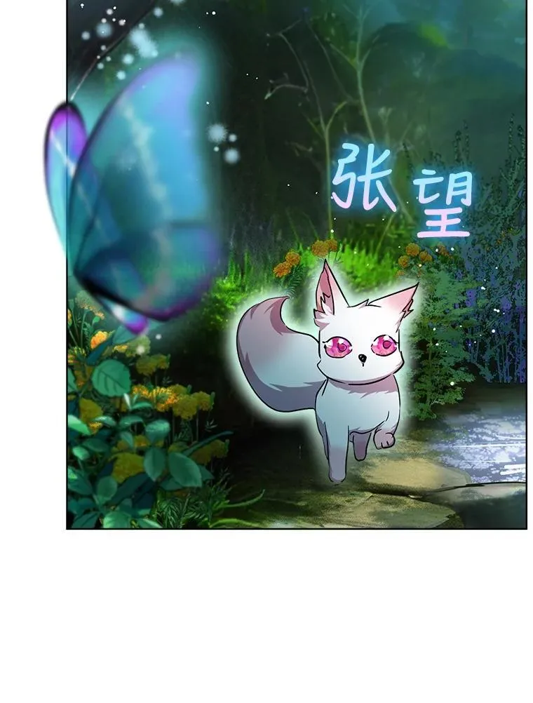 33.巴希拉14