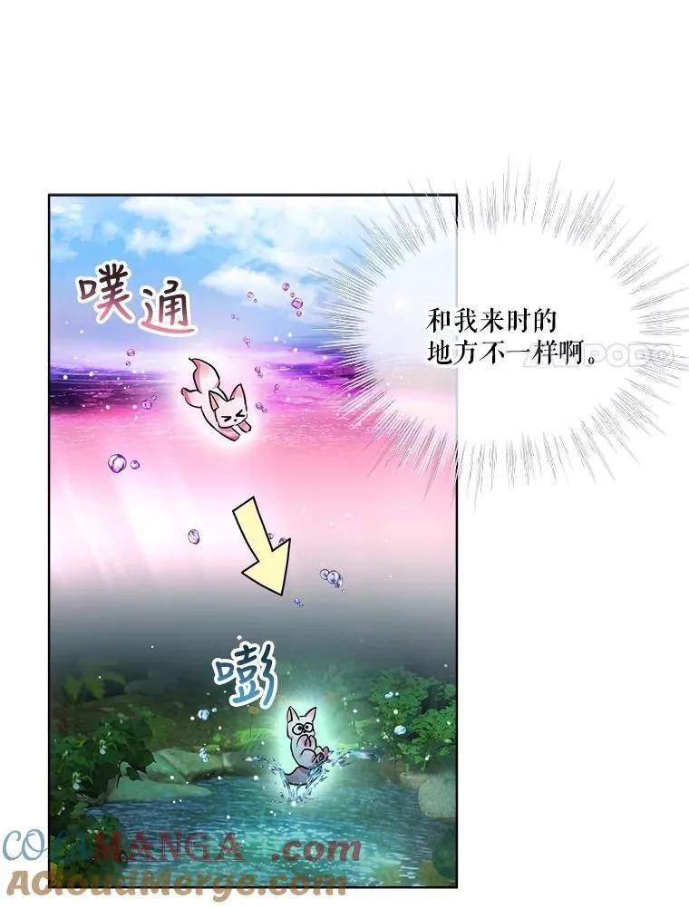 33.巴希拉12