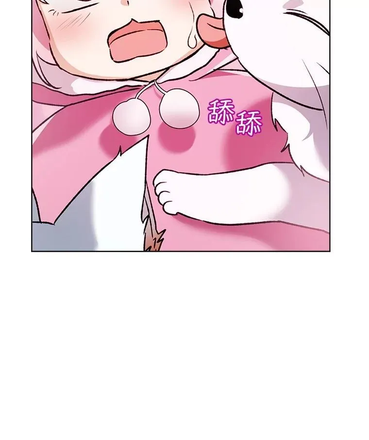51.抓银狐93