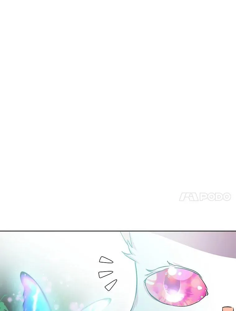 33.巴希拉15