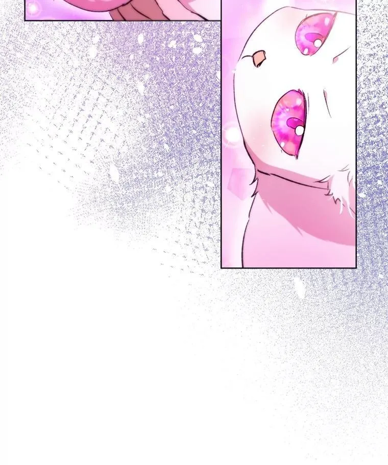 41.贝尔蒙失踪66