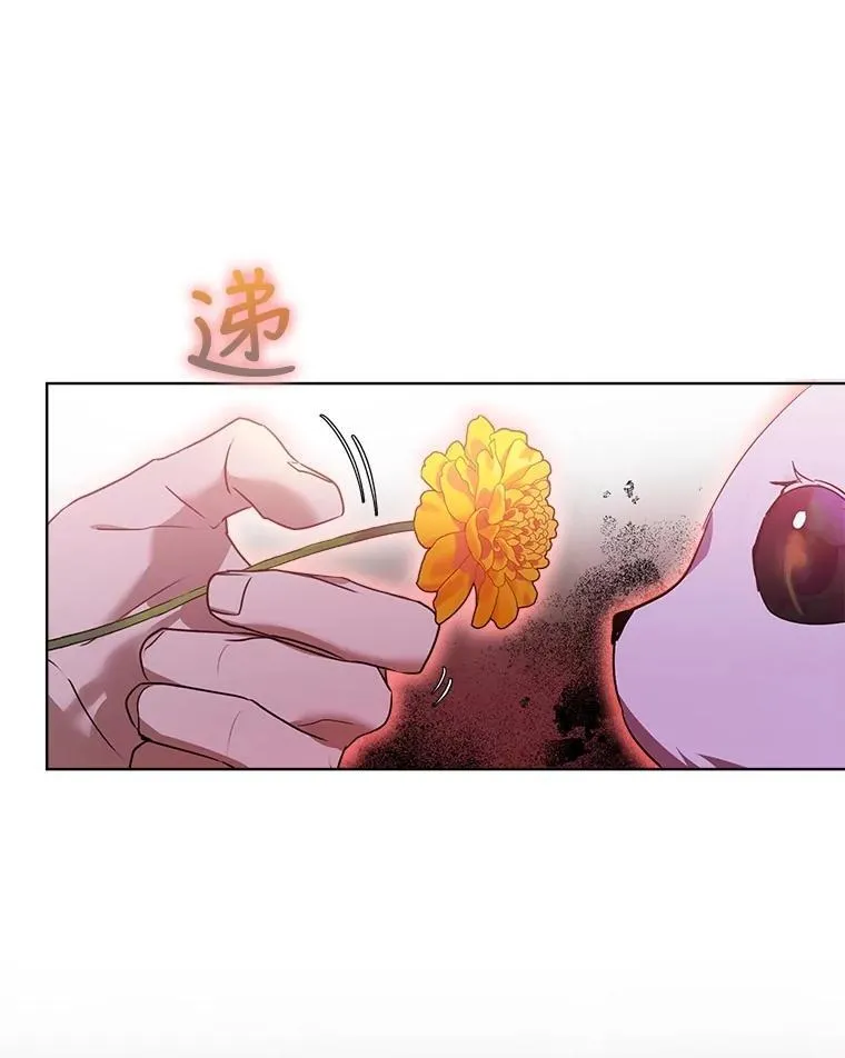33.巴希拉43