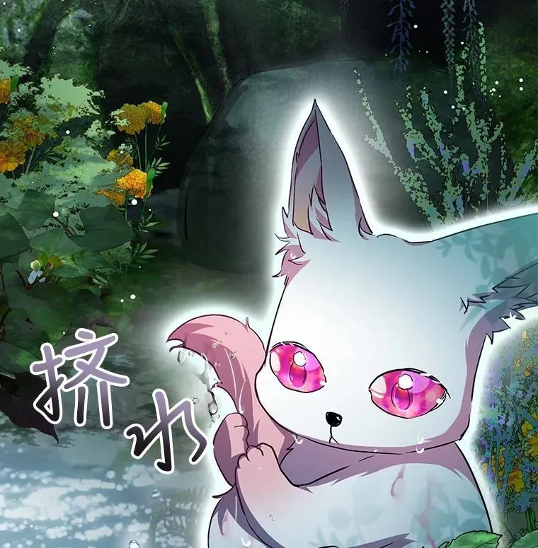 33.巴希拉10