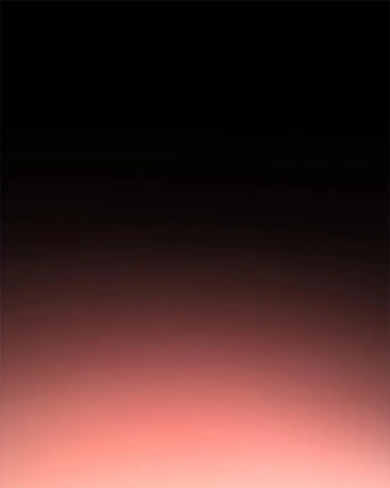 38.筑起高墙53