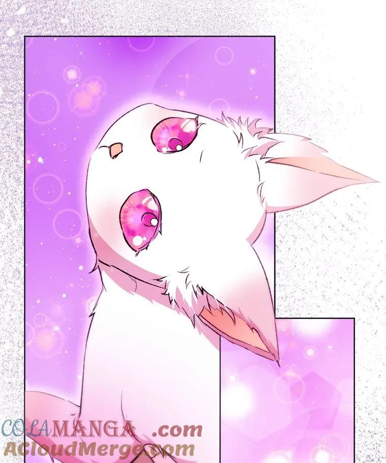 41.贝尔蒙失踪65