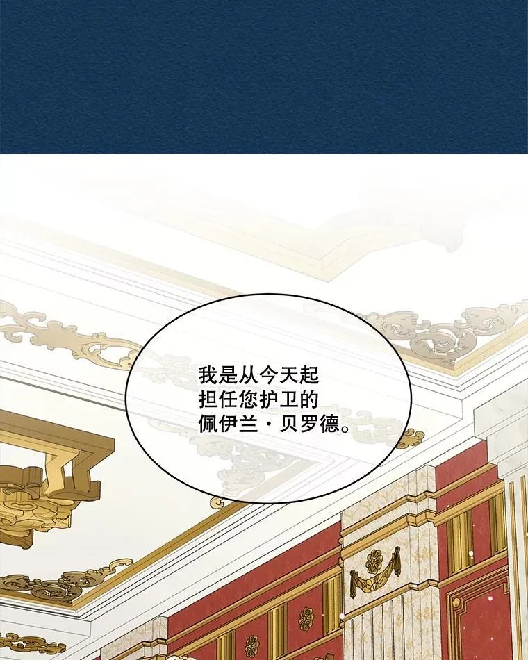 6.佩伊兰40