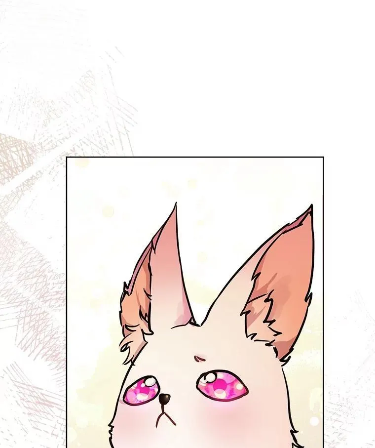 3.魔法师53