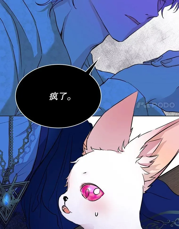 6.佩伊兰91