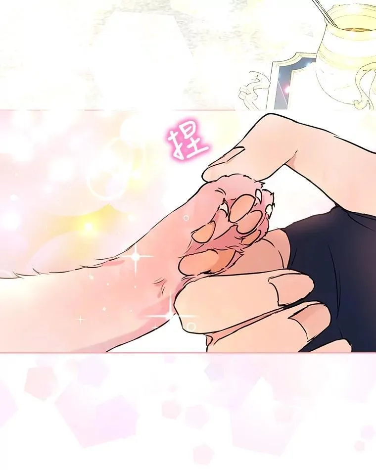 6.佩伊兰14