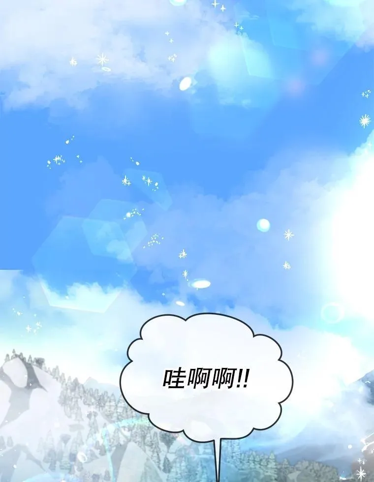 51.抓银狐45