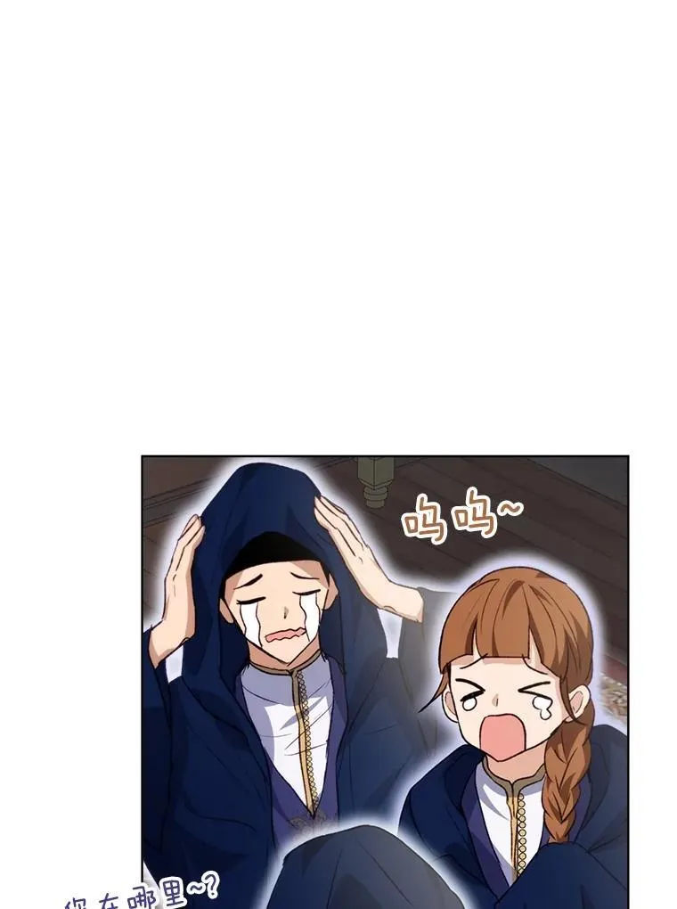41.贝尔蒙失踪12