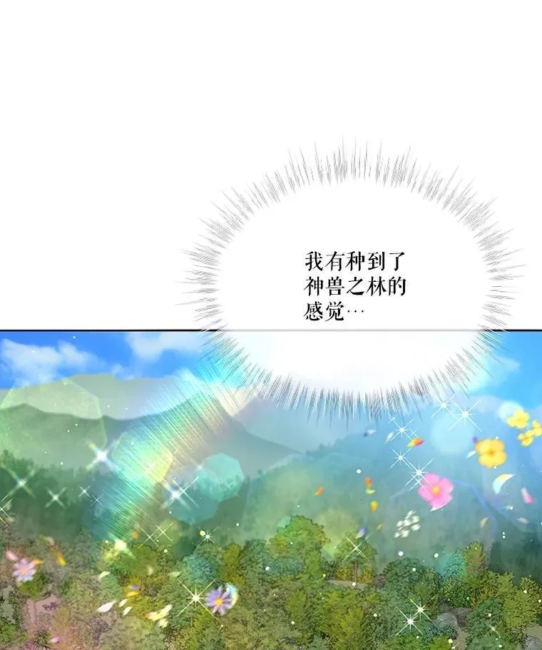 51.抓银狐47