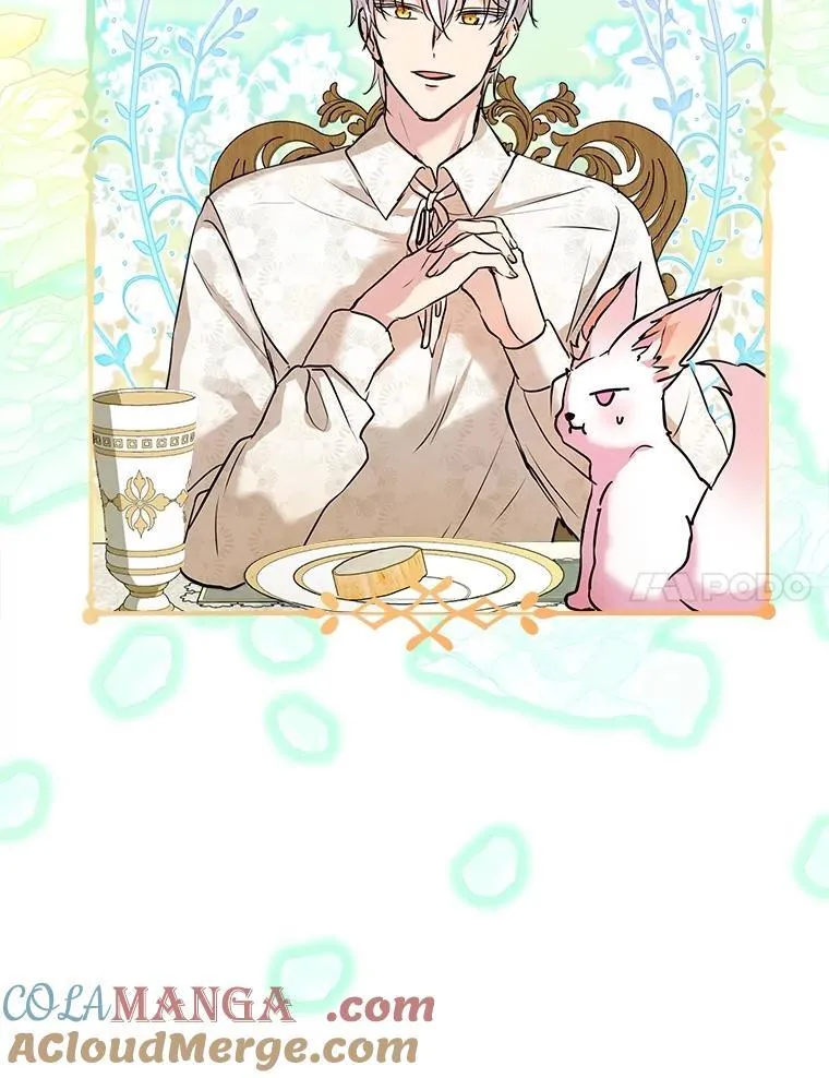 6.佩伊兰6