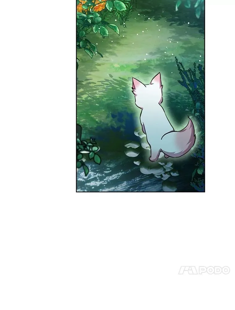 33.巴希拉18