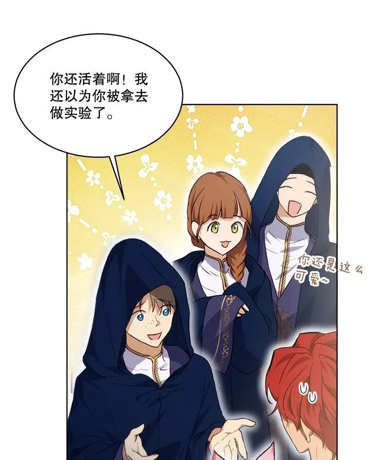 41.贝尔蒙失踪15