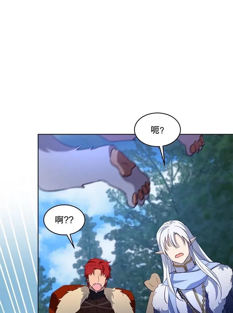 51.抓银狐85