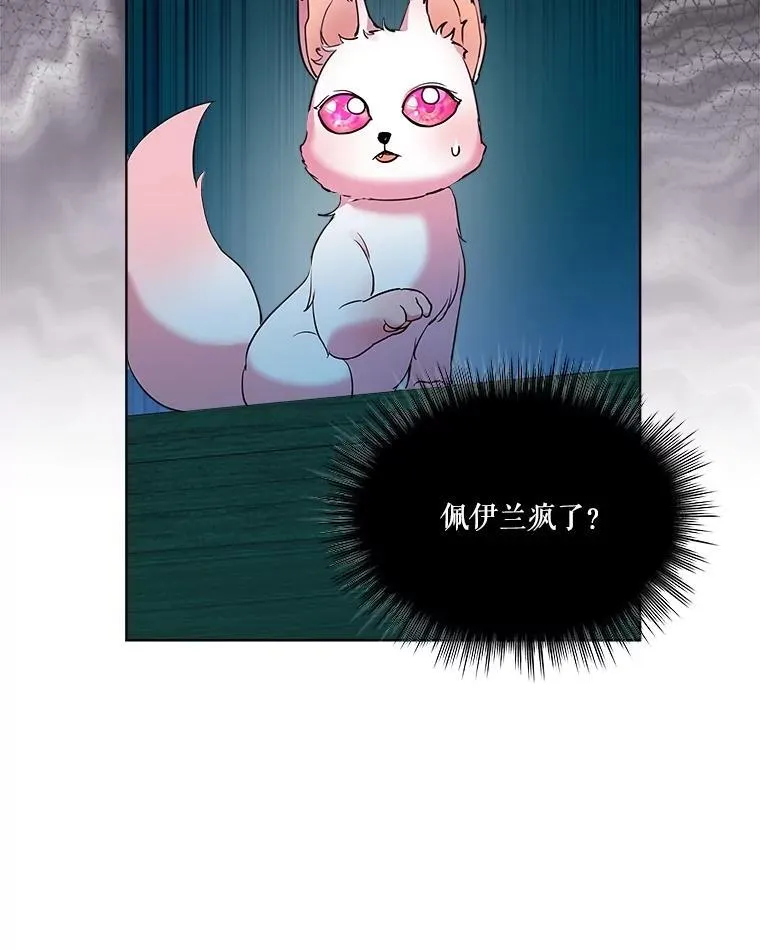 6.佩伊兰96