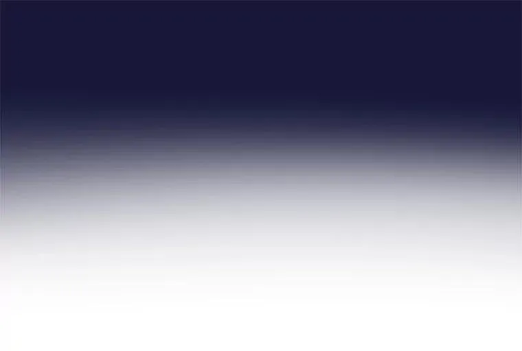 26.教皇95