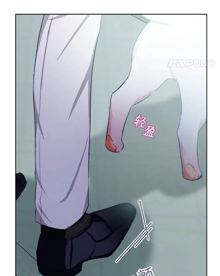 43.两条尾巴18